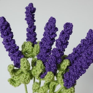 Può includere: Un mazzo di fiori di lavanda all'uncinetto con foglie verdi. I fiori sono viola e le foglie sono verdi.