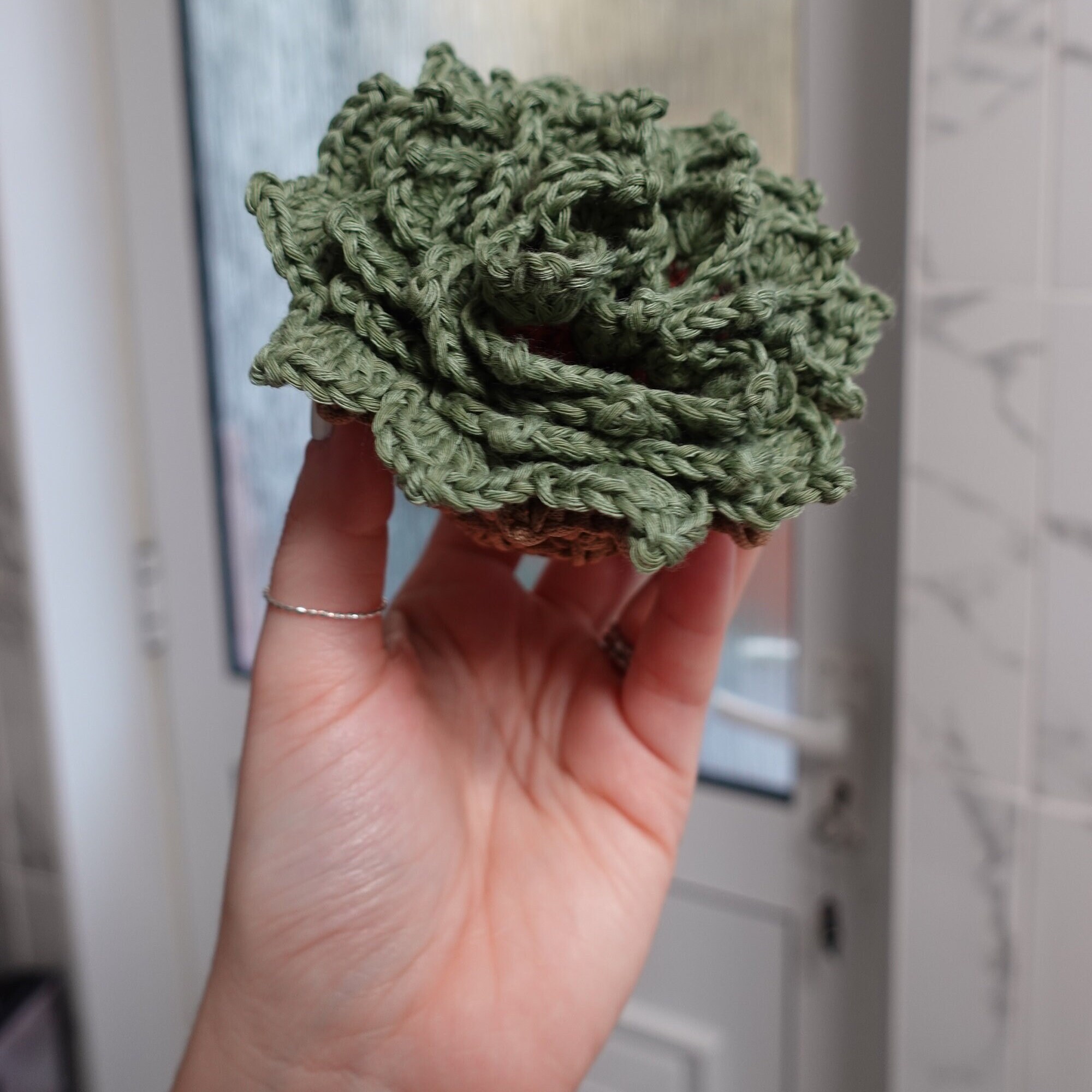 Crochet Succulent Plant Pot Coaster Set Pattern Crochet Plant Etsy Canada