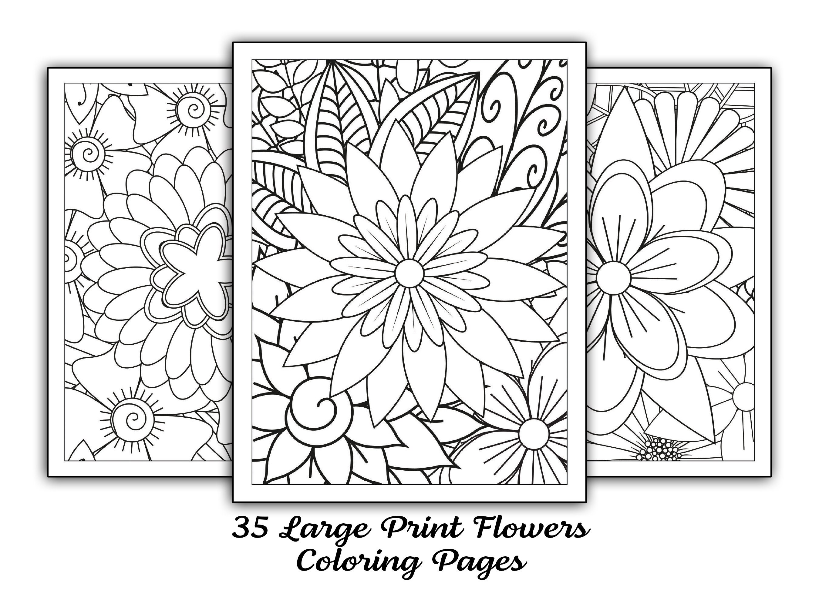 Mindful Patterns Large Print Adult Coloring Book For Women: An Adult  Coloring Book with Beautiful Designs of Flowers and Botanical Mandala  Patterns