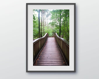 Walkway Through Forest Nature Art Print, Wall Art! Instant Digital Download