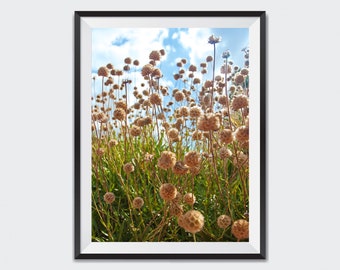 Summer Meadow Photography Print: Blue Sky Wall Art (Digital Download)