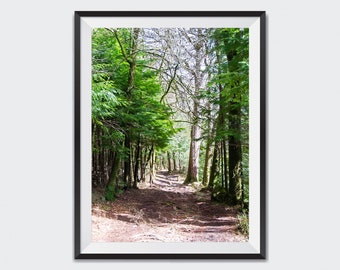 Forest Pathway Through Trees Nature Art Print, Wall Art! Instant Digital Download