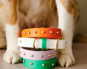 Biothane - Waterproof One-Tone Dog Collar with studs