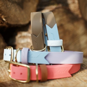 Biothane® | Classic Dog Collar