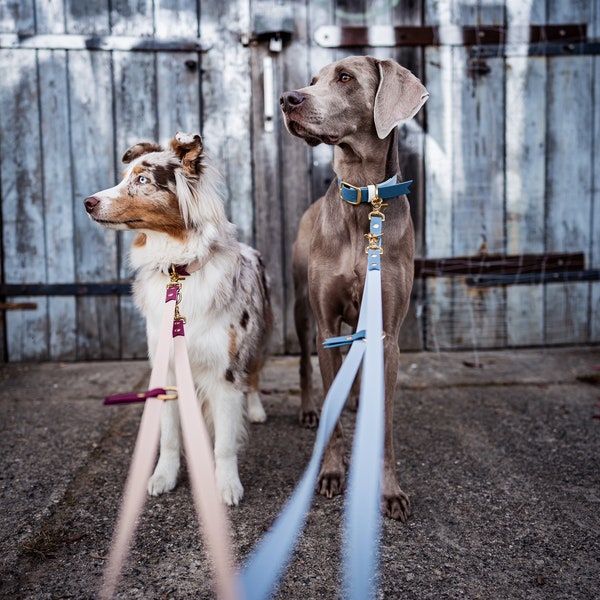Hands Free Leash Etsy