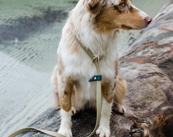 Biothane® | Slip lead leash - Training leash