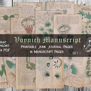 Rare Voynich Manuscript Pages SET 1, Printable Botanical illustrations, Junk Journal Paper, JPG & PDF,  16 Vintage Sheets, Digital Download
