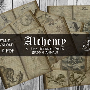 Lined Journal Pages, Alchemy Printable Paper, Alchemical Symbols Birds and Animals, Ephemera, Paper Craft, Scrapbooking, Instant Download