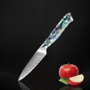 Damascus Steel Paring Knife with Real Abalone Shell Handle - 67-layer Japanese VG10 Steel Peeling Knife, 3.5" Full-Tang Blade Fruit Knife