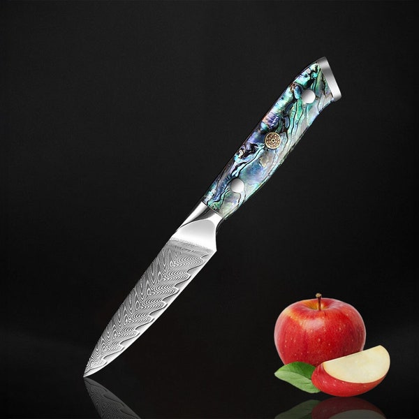 Couteau d'office en acier damas avec manche en véritable ormeau - Couteau à éplucher en acier japonais VG10 67 couches, lame pleine soie de 3,5 pouces