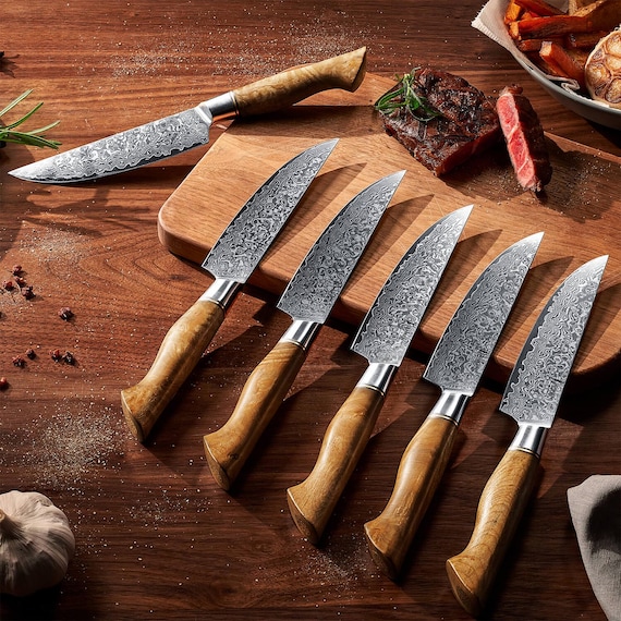 16-piece Damascus Steel Knife Block Set - the Dynasty Collection