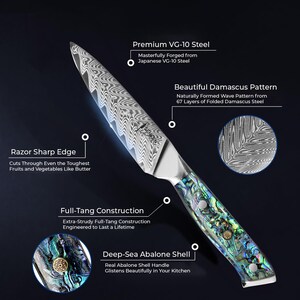 Damascus Steel Paring Knife With Real Abalone Shell Handle - 67-layer ...