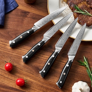 4-Piece Damascus Steel Steak Knife Set - 67-Layer Damascus Japanese VG10 Steel with Military Grade G10 Full Body Handle - Includes Gift Box