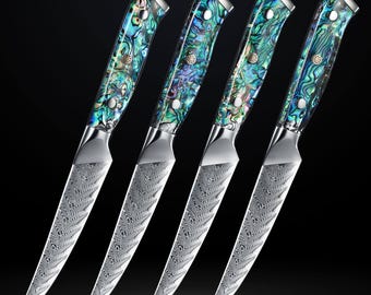 ダマスカス鋼ステーキナイフ4点セット - 67層ダマスカス日本製VG10鋼