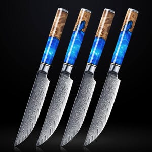 Japanese Damascus Steel Steak Knife Set with Beautiful Blue Resin & Natural Wood Handle - Ultra Sharp Japanese VG-10 67-Layer Damascus Steel