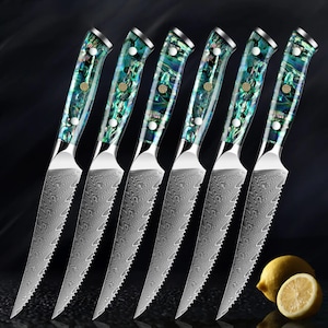 Abalone Shell Damascus Steak Knife Set of 6 Japanese VG10 Steel