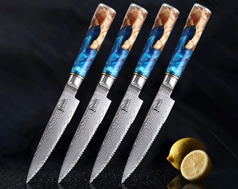 Japanese Damascus Steel Steak Knife Set with Beautiful Blue Resin & Natural Wood Handle - Ultra Sharp Japanese VG-10 67-Layer Damascus Steel