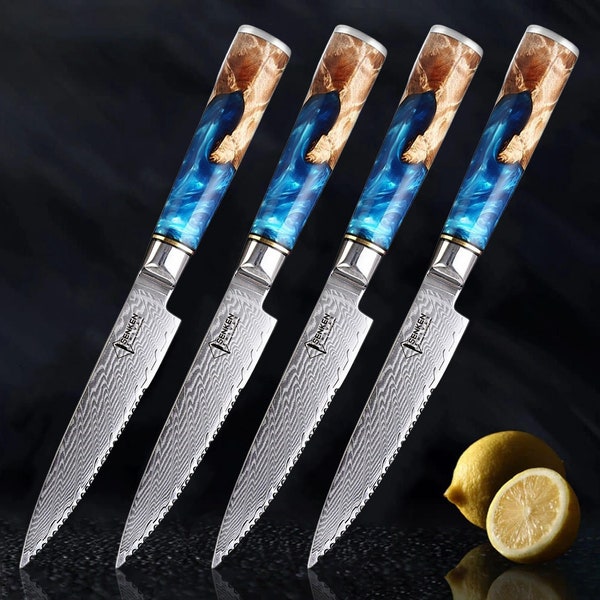 Japanese Damascus Steel Steak Knife Set with Beautiful Blue Resin & Natural Wood Handle - Ultra Sharp Japanese VG-10 67-Layer Damascus Steel