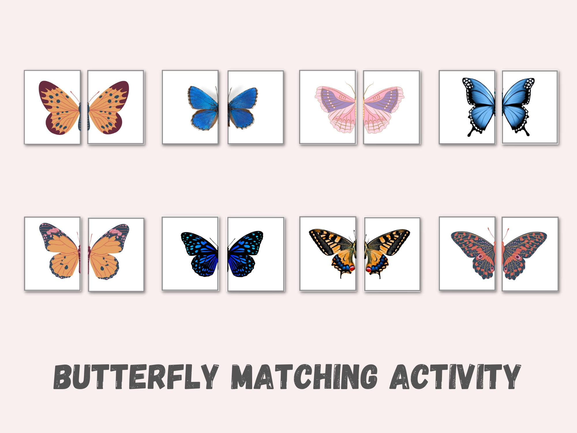 Butterfly Match Game  Play Butterfly Match Game on PrimaryGames