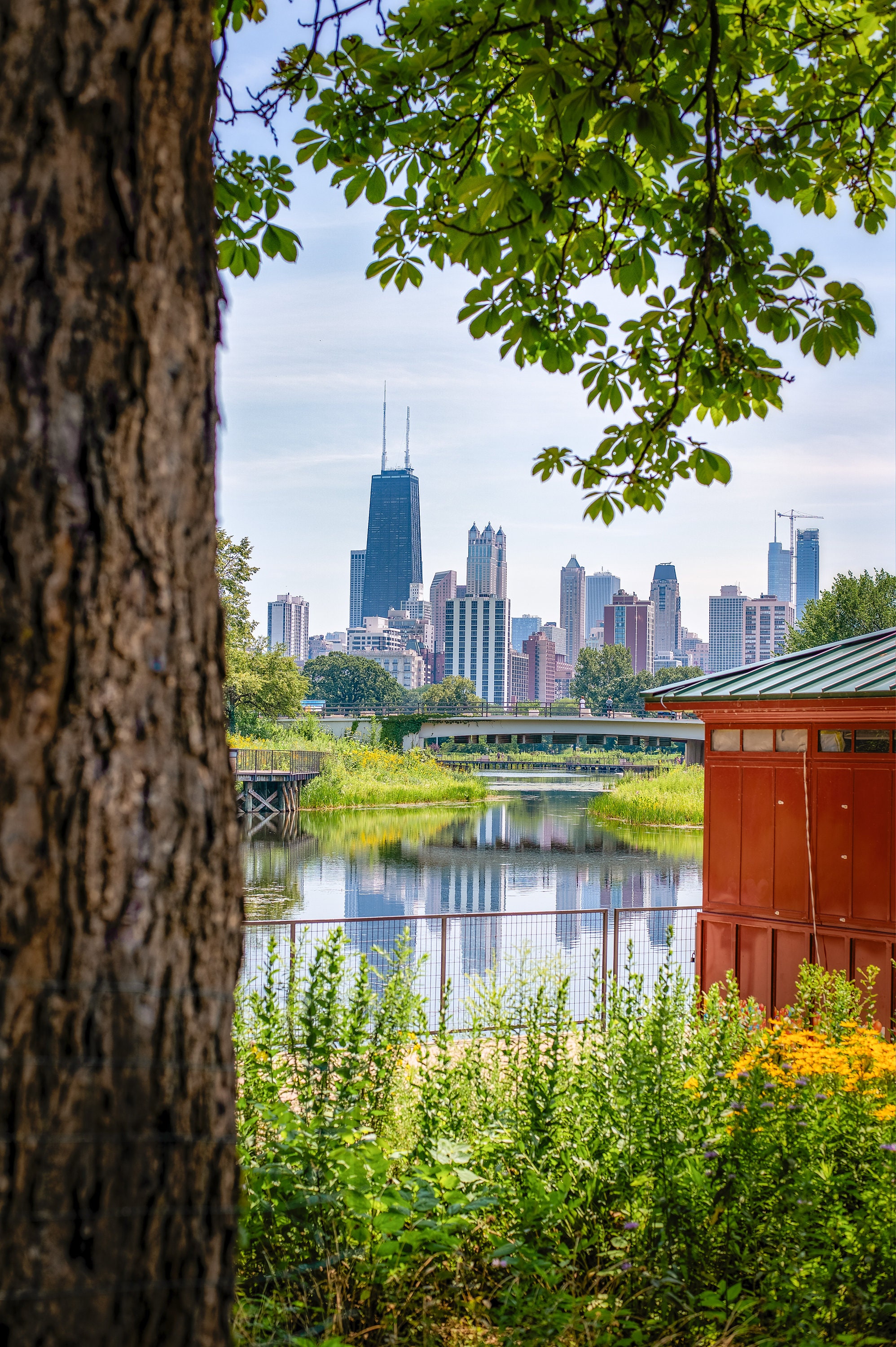 Chicago Skyline in Summer Digital Download Photo Etsy UK