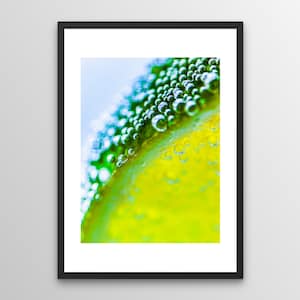 Lime Bubbles II / Citrus Series / Close up colourful and vibrant image of lime slice in fizzy carbonated water with hundreds of tiny bubbles