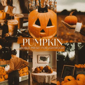 Halloween Lightroom Mobile-voorinstellingen: fotobewerking humeurige herfst (10 voorinstellingen)