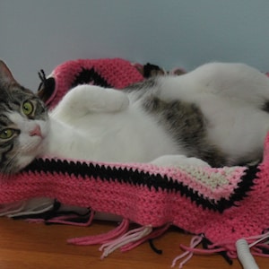 How To Crochet From A Pattern Diagram - A Crochet Basics Primer - PDF DOWNLOAD - .20 (Twenty Cents)