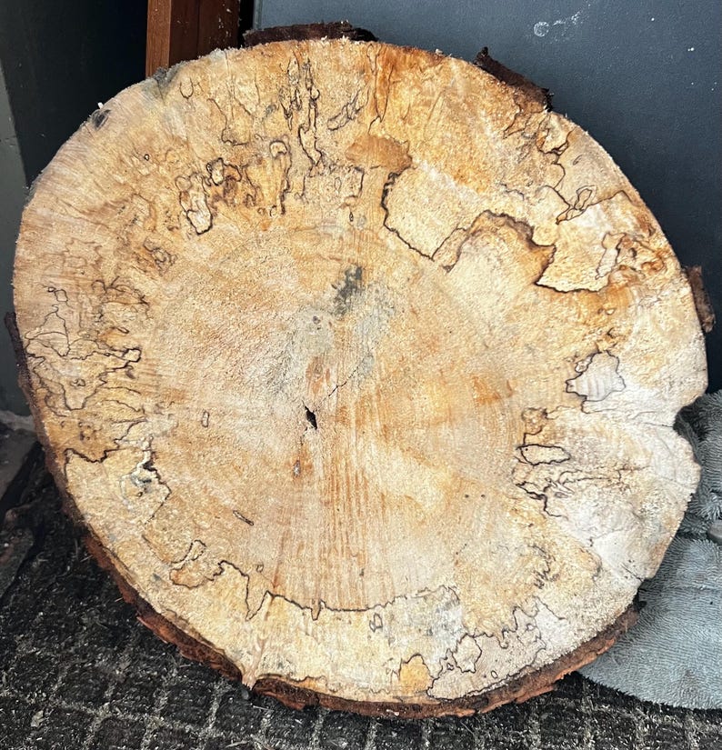 Dried Spalted Maple Wood Slice – Natural Tree Cookie for DIY Art ...