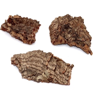 1 Pound of ASSORTED Cork Bark Flats For Orchids-Reptiles-Tarantulas-Terrariums FREE SHIPPING