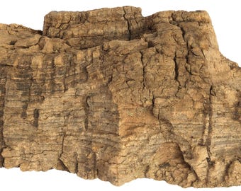 Bulk Cork Bark Flats - Terrarium Orchids - Air Plants -  Reptile Animal Hides