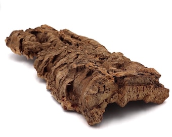 5lb Bulk Virgin Cork Bark Flats: Reptile Habitat Decor