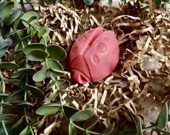 Ladybird wax melt for wax burners. Ladybird gifts in a presentation box. Strong fragranced wax melts.