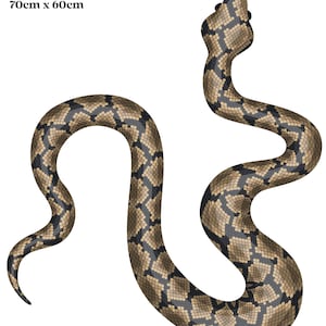 May include: A brown and black python snake wall decal, 70cm x 60cm. The decal features a realistic depiction of a python snake with a detailed pattern.