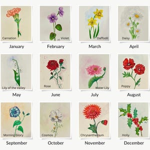 May include: A watercolor illustration of 12 different flowers, each representing a month of the year. The flowers are painted in a realistic style with vibrant colors. The illustration is perfect for a calendar, greeting card, or other decorative purposes.