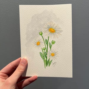Original watercolor painting of April birth month flower, a handpainted lovely white Daisy