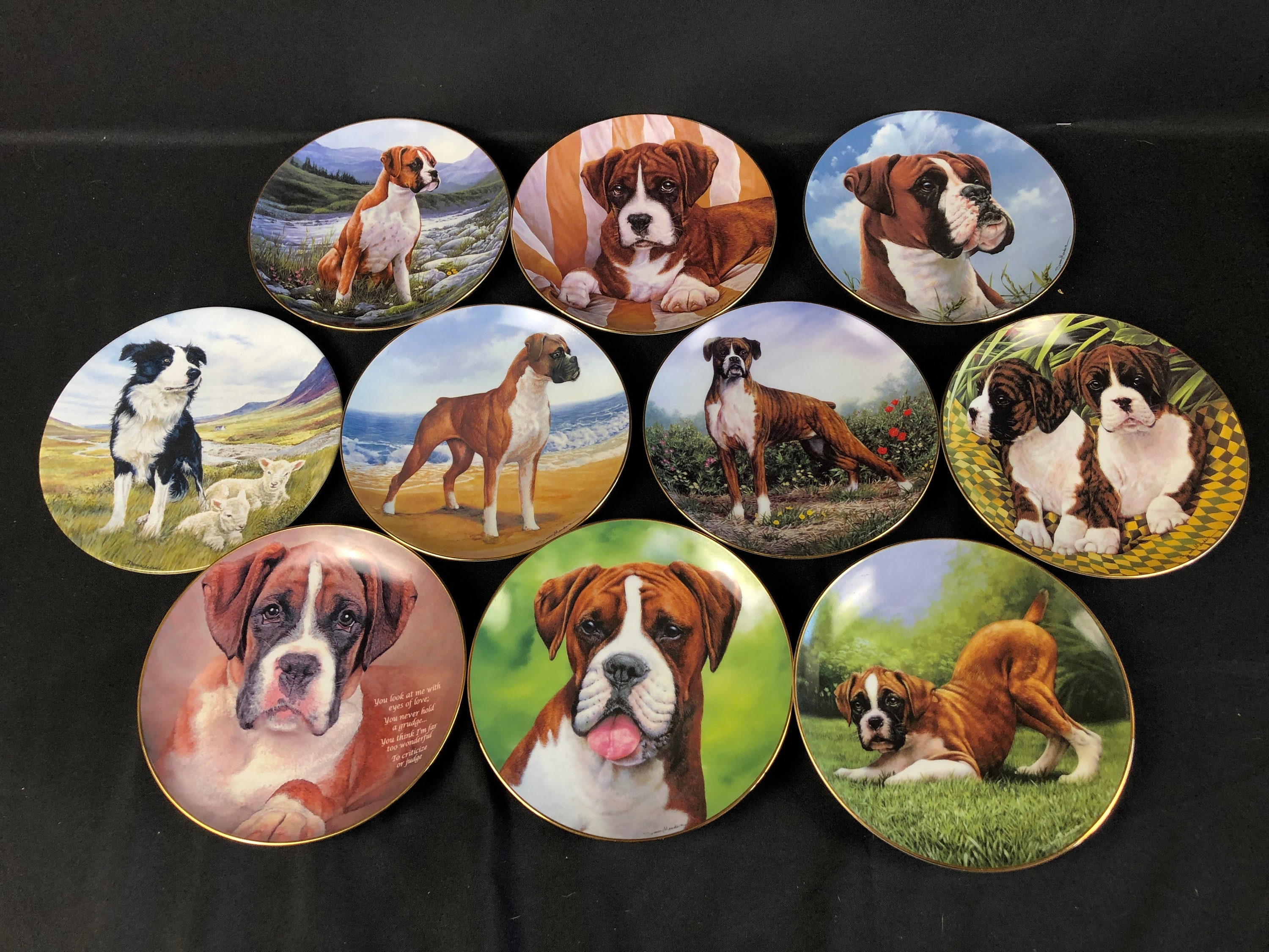 Danbury Mint Plate by Simon Mendez " The Look " The Boxer Dog 