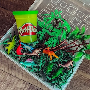 Kids activity box, Kids sensory gift, birthday gift for kids, play gift set, play set for kids, activity box, nature box, busy box, dinosaur