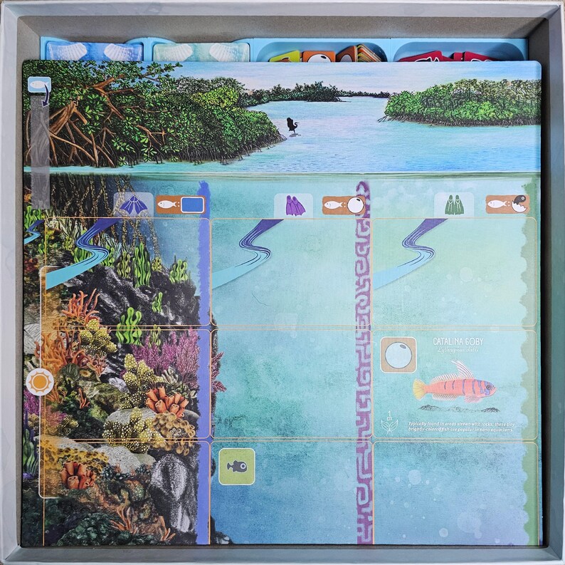 May include: A game board with a blue and green ocean scene. The board is divided into sections with different images of sea life, including a fish, a coral reef, and a sea turtle. The board also has a section with the text "Catalina Eight".