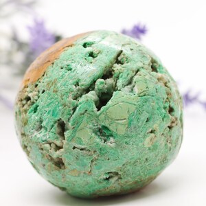 Pode incluir: Um close-up de uma pedra redonda e texturizada com uma mistura de tons verdes e castanhos. A pedra tem uma superfície áspera e porosa e está sobre um fundo branco com flores roxas desfocadas.