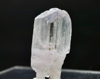 75CT Bicolor Kunzite Crystal: Rough Spodumene Gemstone from Afghanistan
