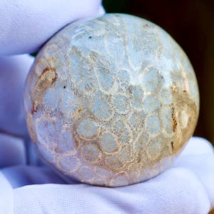 Esfera de coral fóssil agatizado – Bola de cristal indonésio polido com padrões florais naturais
