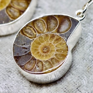 Puede incluir: Primer plano de un par de pendientes de amonita fósil. Cada pendiente presenta un fósil pulido en forma de espiral engastado en un bisel plateado. El fósil muestra tonos de marrón, beige y amarillo, con un patrón en espiral visible.
