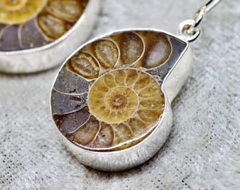Handmade Ammonite Fossil Earrings - New Silver, Madagascar Jewelry