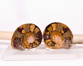 Polished Ammonite Fossil Pair: Protective Stone Decor from Morocco