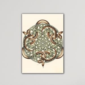 Maurits Cornelis Escher Sneaks Poster Maurits Cornelis Escher Painting Modern Canvas Art Office Decor Extra Large Canvas Gift Of Home Decor