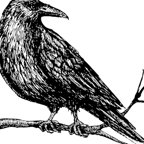カラスグラフィックTシャツ - 鳥好きのためのユニセックスシャツ