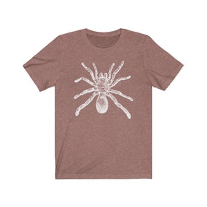 May include: A heather brown t-shirt with a white graphic of a tarantula spider.