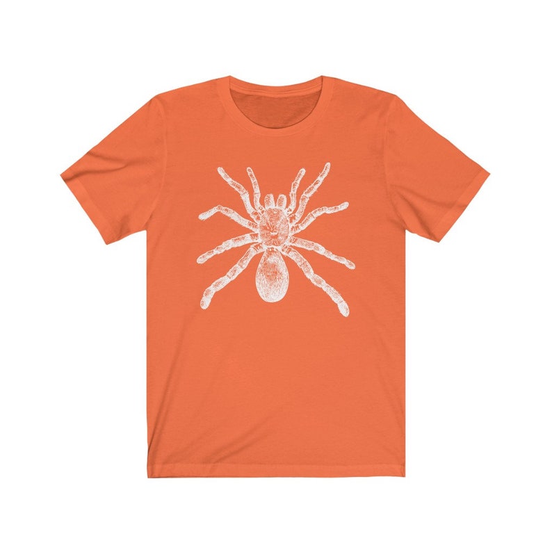 May include: Orange short-sleeved t-shirt with a white graphic of a spider.