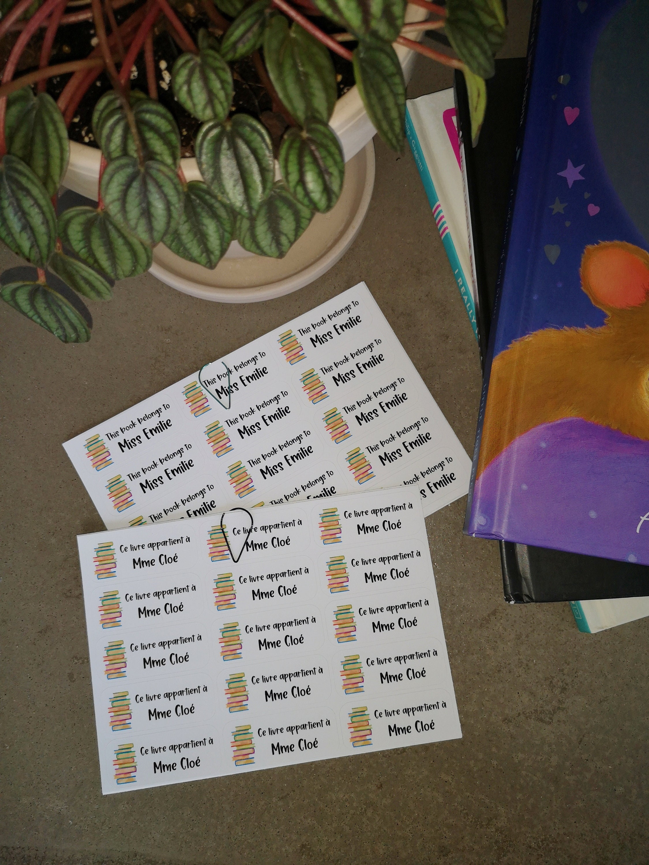 Custom Labels for Book Identification Etsy