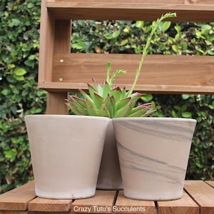 OMG! Back in Stock, Italian Terra Cotta 6x6 Pots Graphite/Graphite & Black, Free Clipping With Every Order. Free Shipping for a limited time